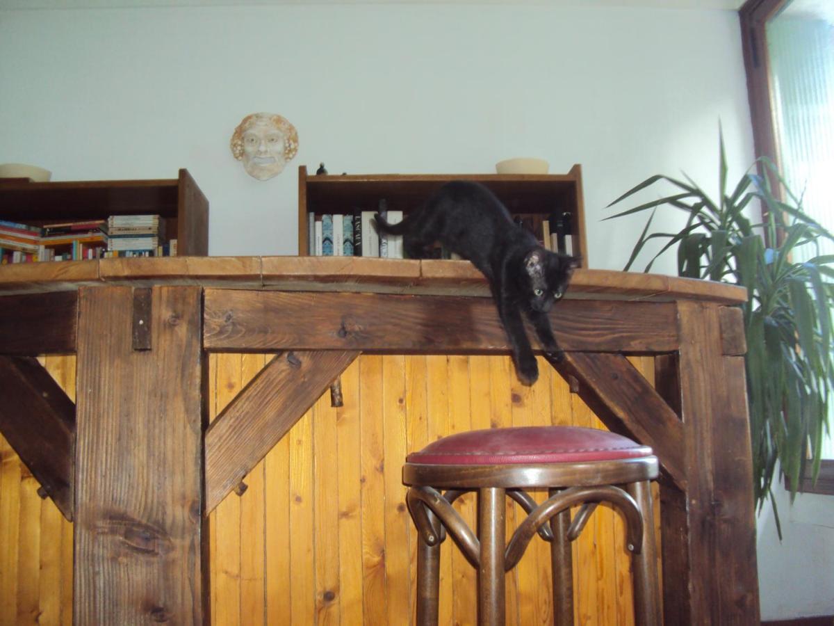 El Gato Negro Bed and Breakfast Montignac-Lascaux Exteriör bild